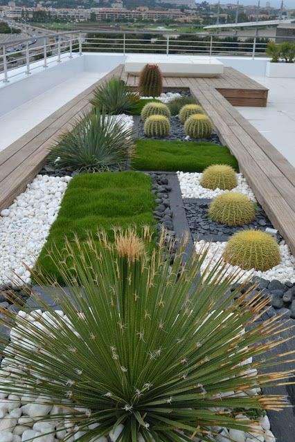modern-kaktuszkert