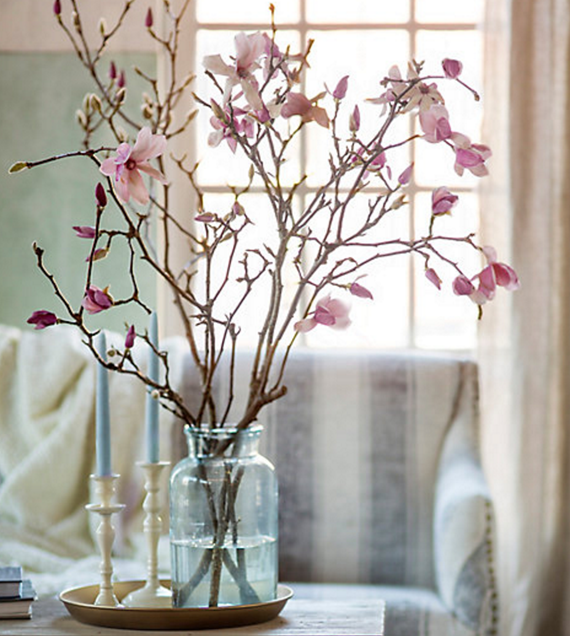 hajtatott-magnolia