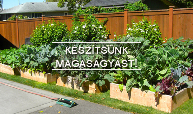 kiemelt magasagyas