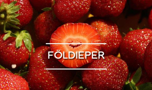 a földieper