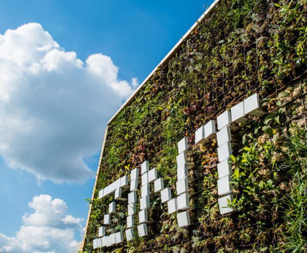 3040984-slide-s-4-this-crazy-living-wall-has-1682-plants