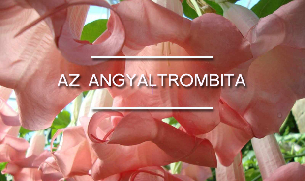 angyaltrombita