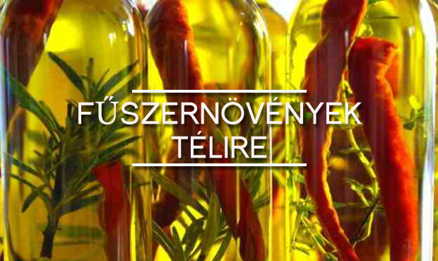 fuszerek