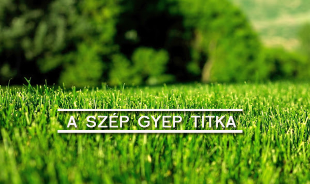 szep-gyep