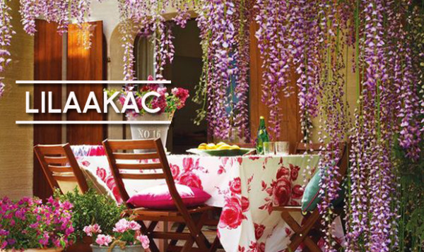 lilaakac