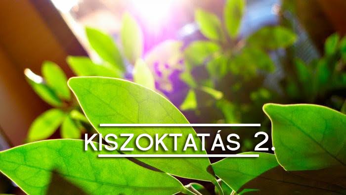 noveny-kiszoktatas