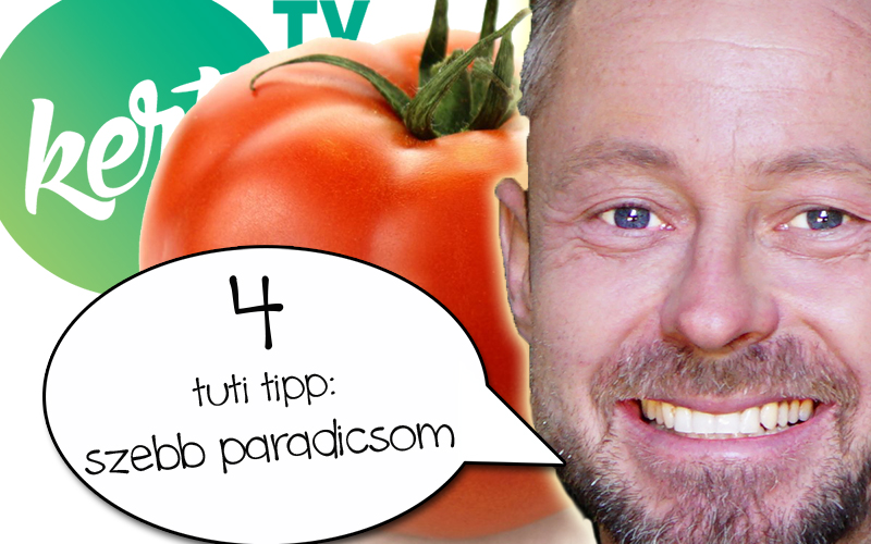 4paritrukk
