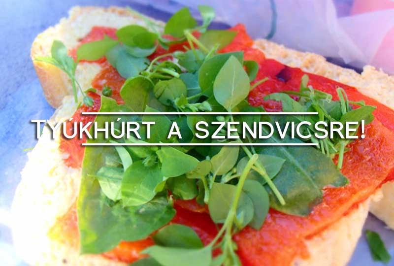 tyúkhúr saláta