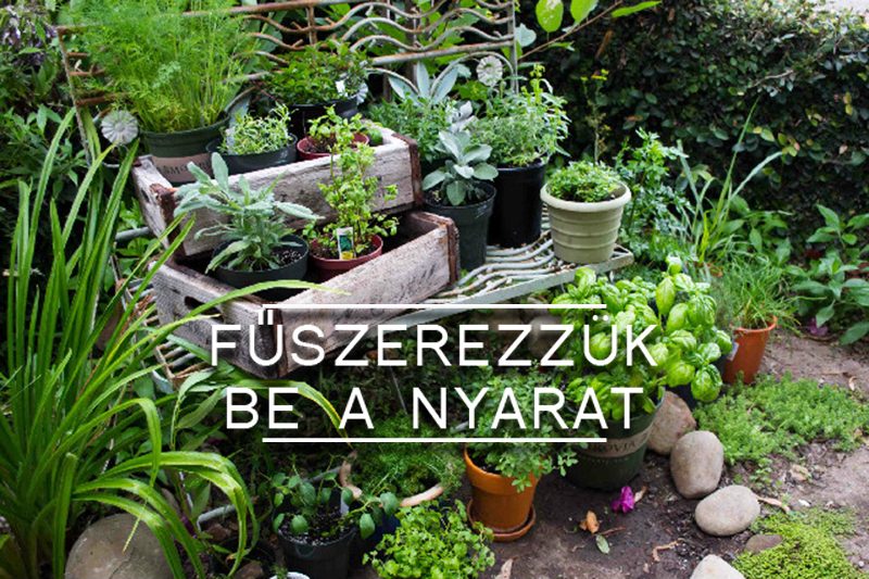 fuszerezzuk