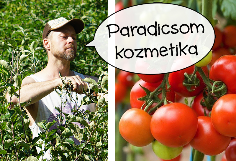 paradicsom-karbantartas