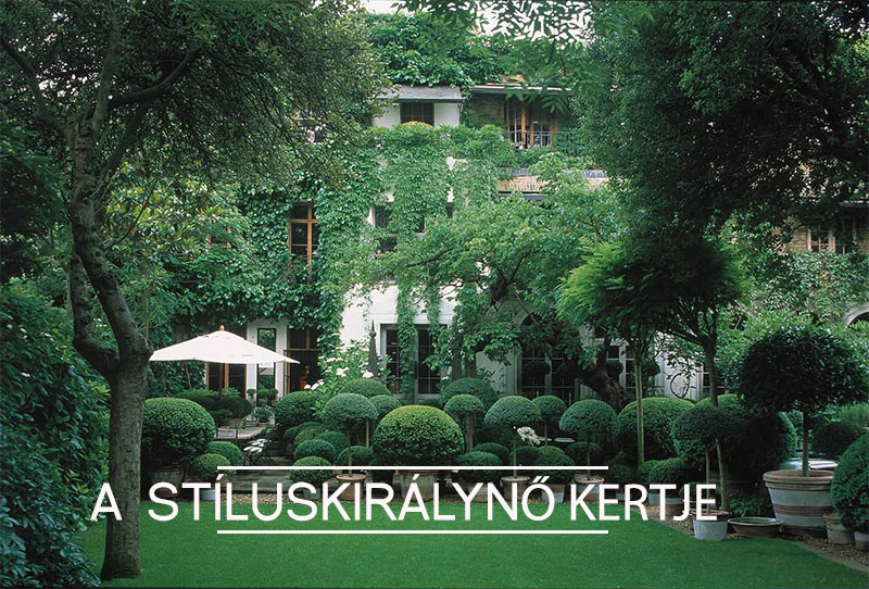 anuska-hempel