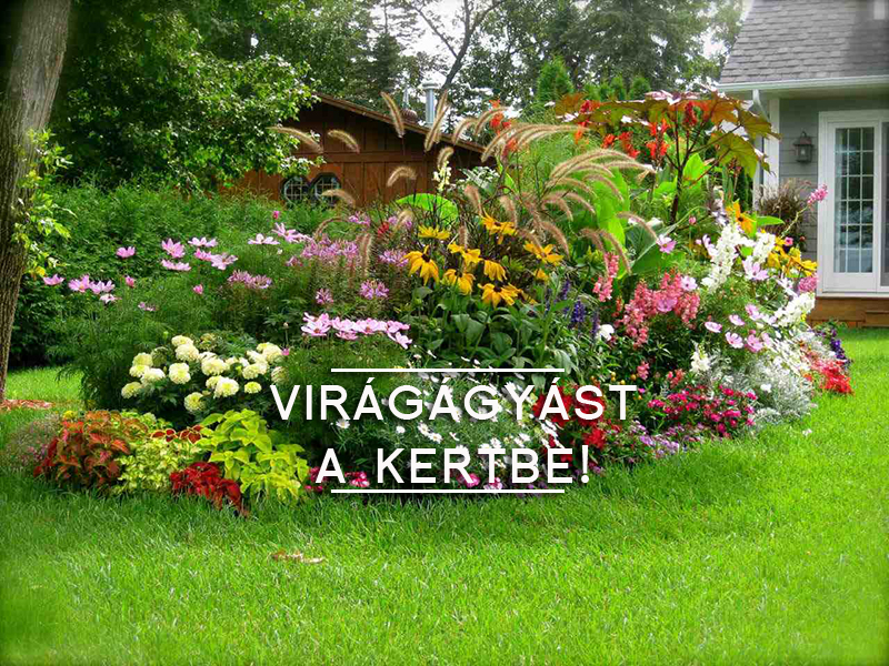 viragagyas