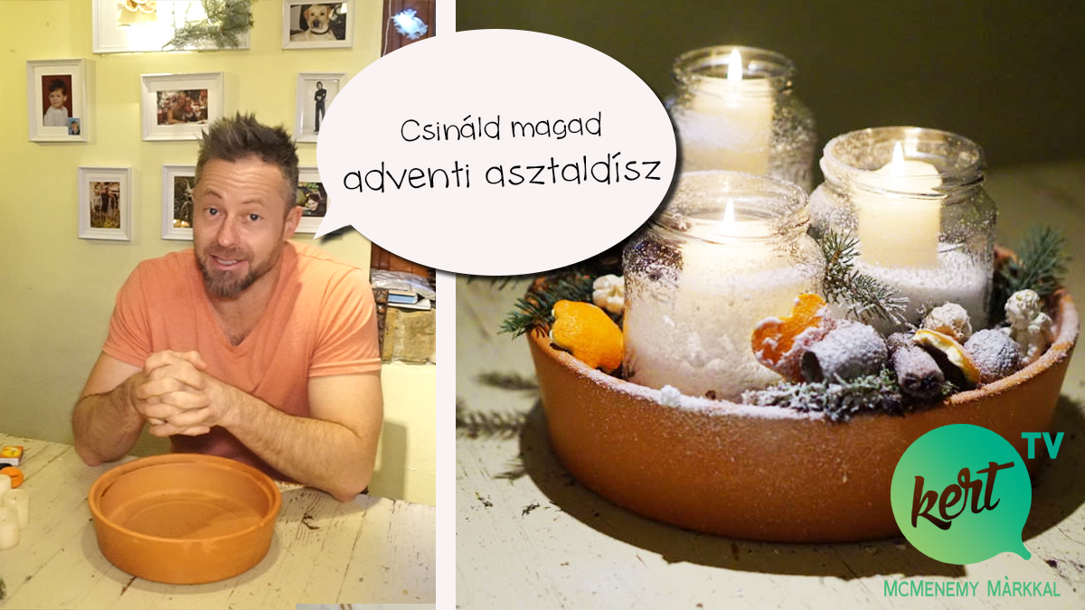 befottes_advent