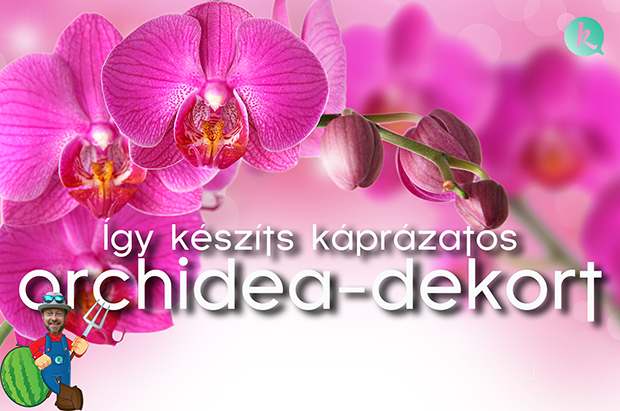 orchidea-dekor