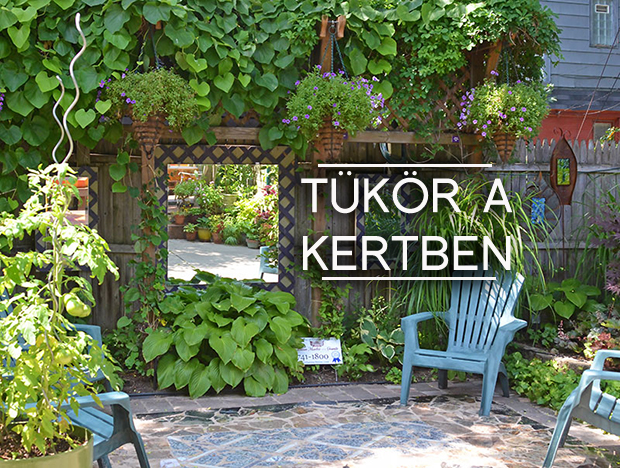 tükör a kertben