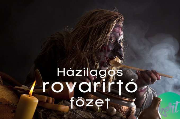 Hexe probiert Trank in Hexenkche