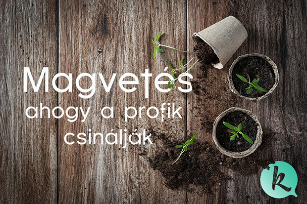 magvetés