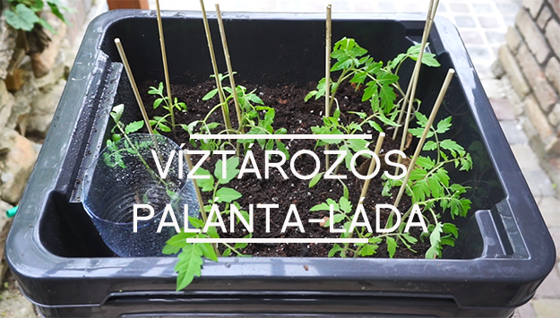 palánta-láda