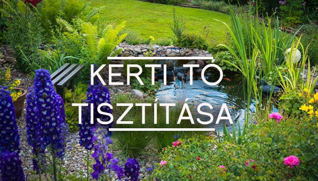 totisztitas