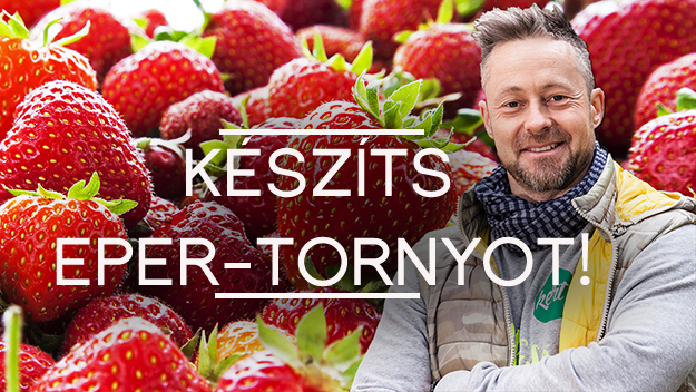 eper-torony