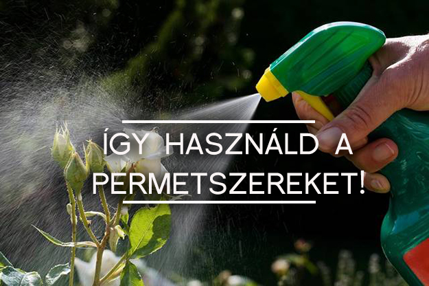 permetszer