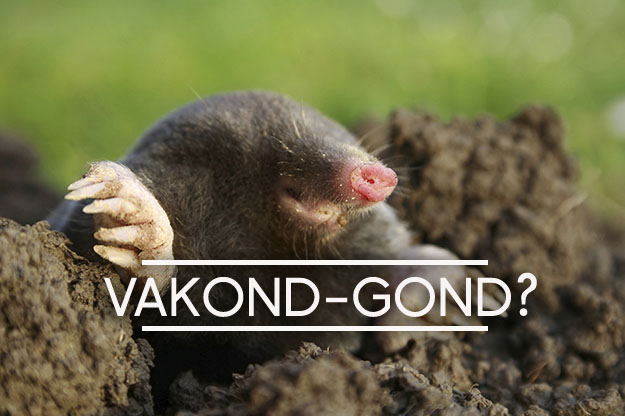 vakond gond