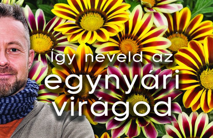 egynyariak