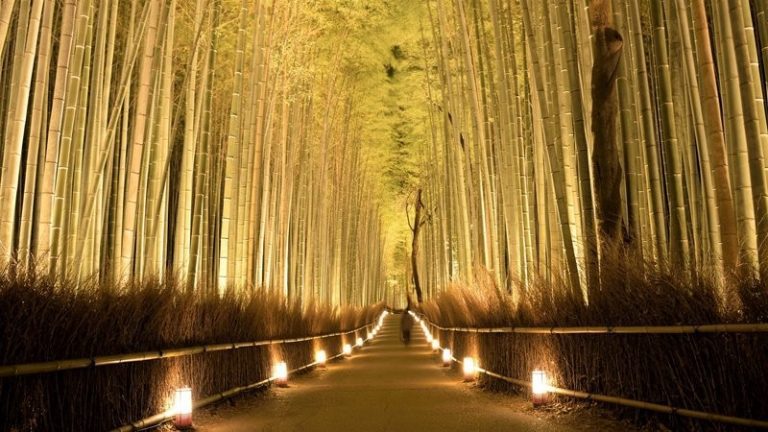Arashiyama bambuszerdő