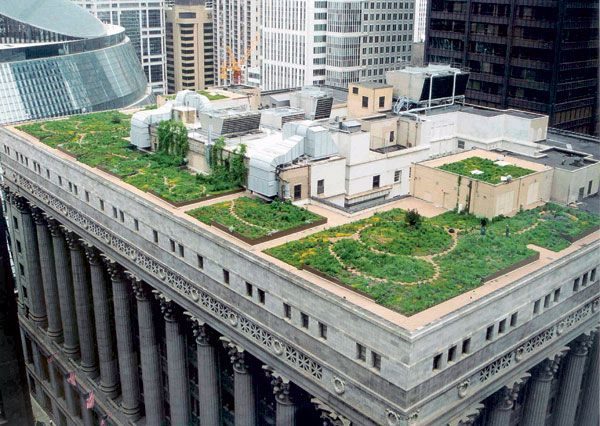 zöld tető a chicagói városházán