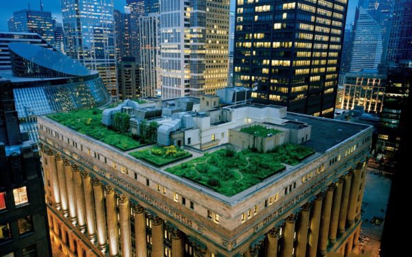 zöld tető a chicagói városházán