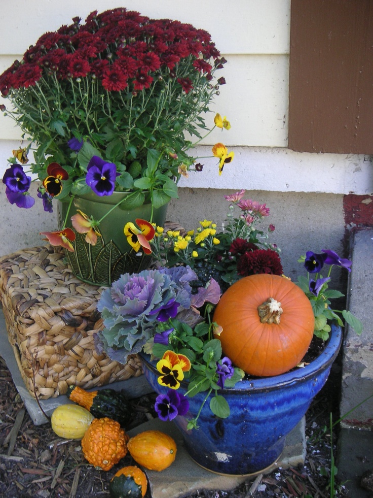 őszi virágkollekció árvácskával, dísztökkel