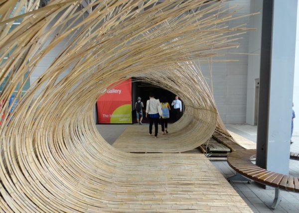 rugalmas bambusz