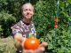5 tuti tipp az őszi paradicsom terméséért - videó