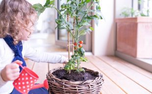 beltéri kertészkedés gyerekekkel