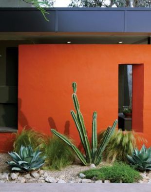 modern-kaktuszkert