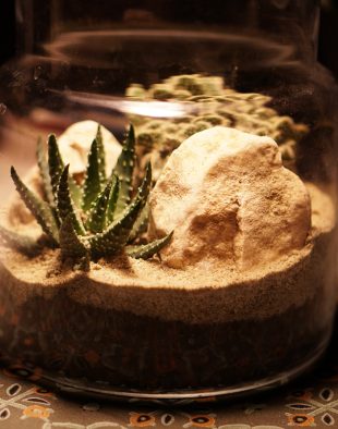 mini-sivatag-palackban