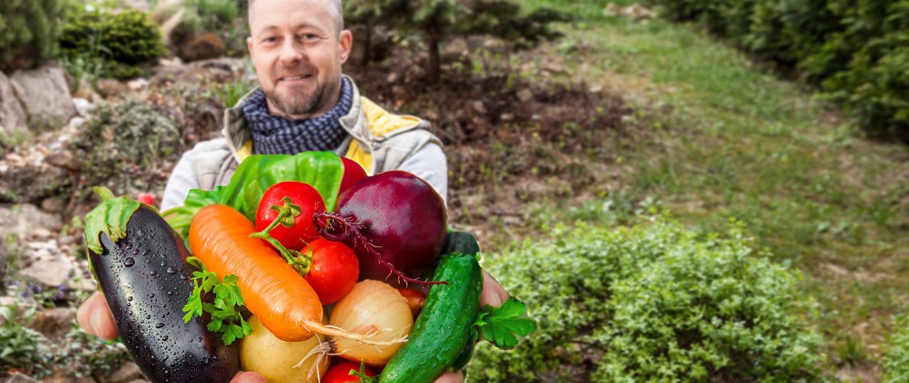 hugelkultur-dombagyas