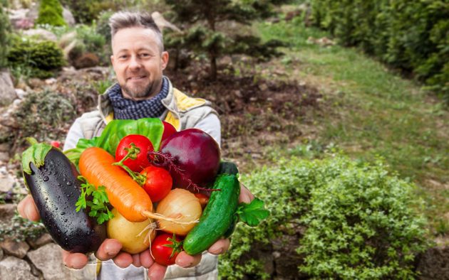 hugelkultur-dombagyas