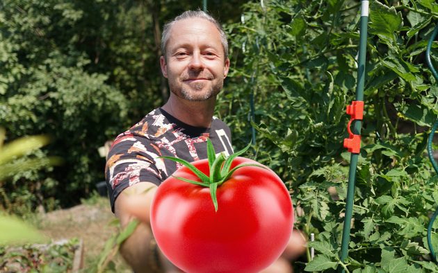 paradicsom tápanyag utánpótlás