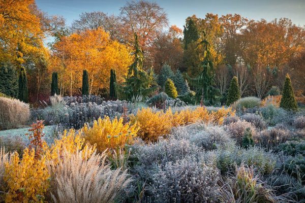 Richard Bloom Bressingham Gardens kertfotó