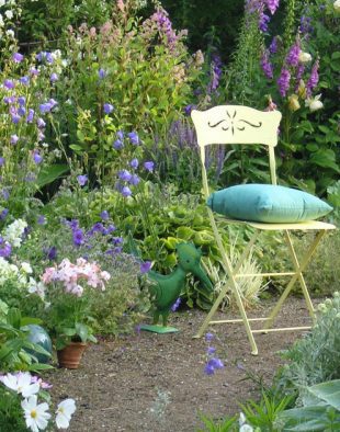 pénztárcabarát növények