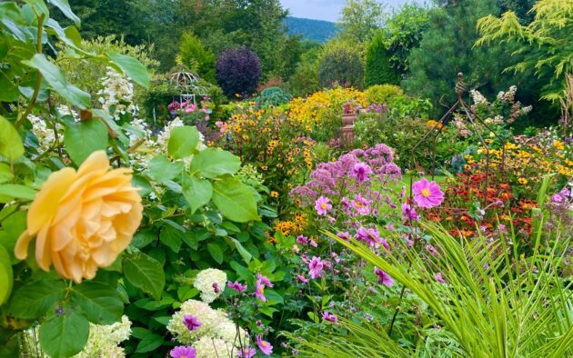 Szomoru Miklós évelő kertje