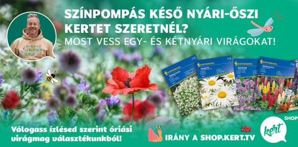 egynáyri-kétnyári virágmagok