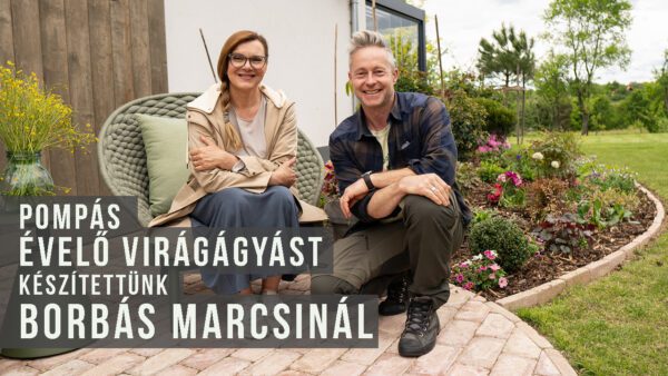 Borbás Marcsi évelőágyás