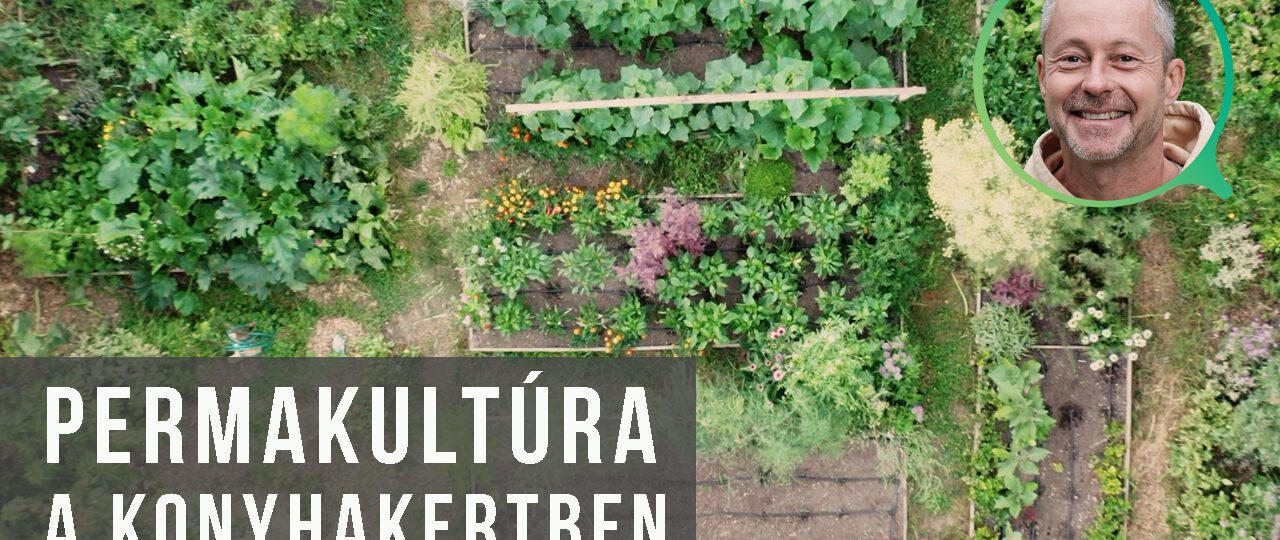 gaia kertje - permakultúra a konyhakertben