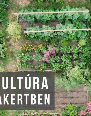 gaia kertje - permakultúra a konyhakertben