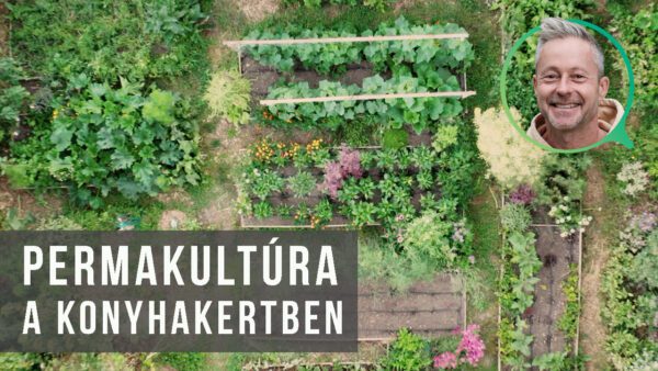 gaia kertje - permakultúra a konyhakertben