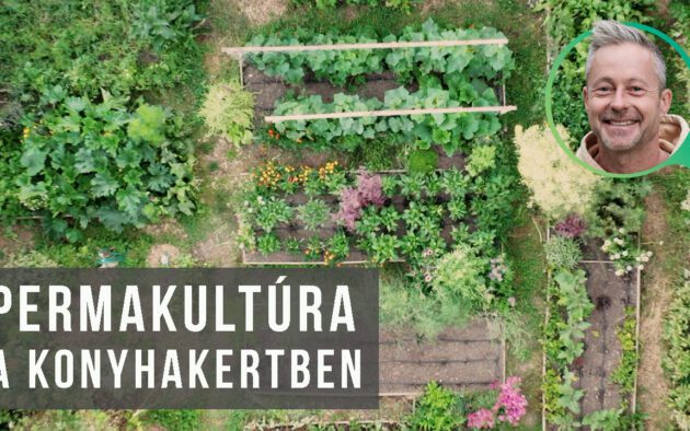 gaia kertje - permakultúra a konyhakertben