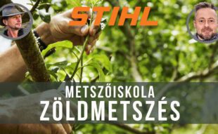 nyári zöld metszés