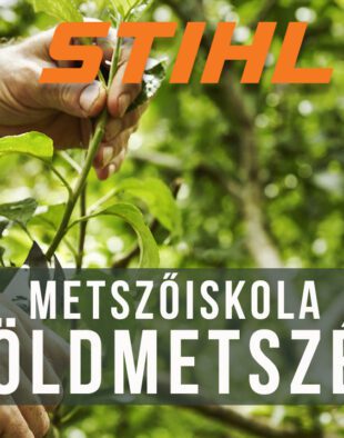 nyári zöld metszés